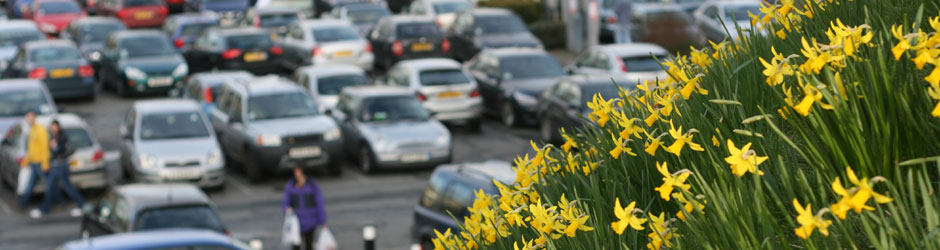 Modus Transport Solutions